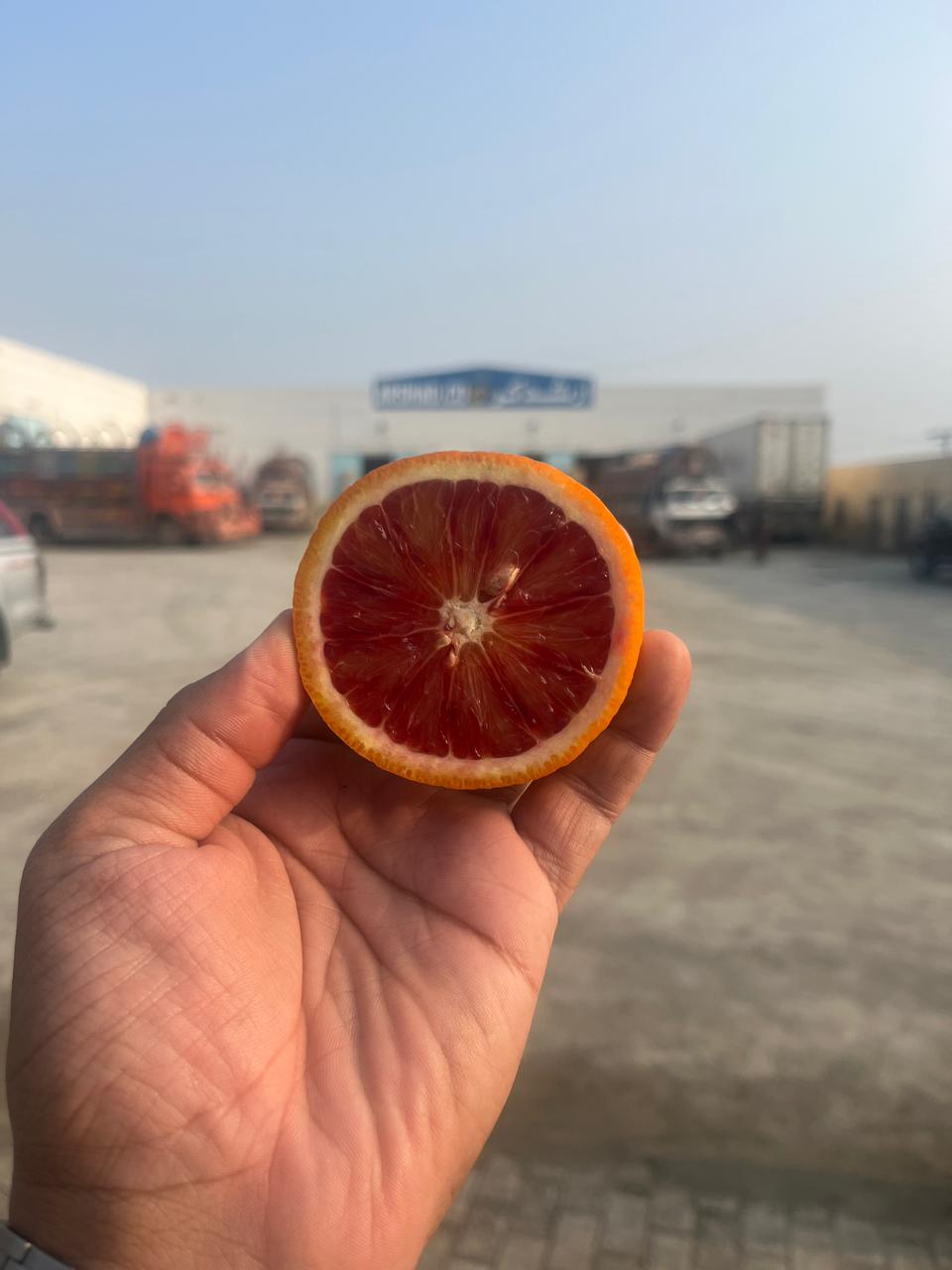Export Quality Red Blood Oranges 10kg box-Limited Edition - Image 3