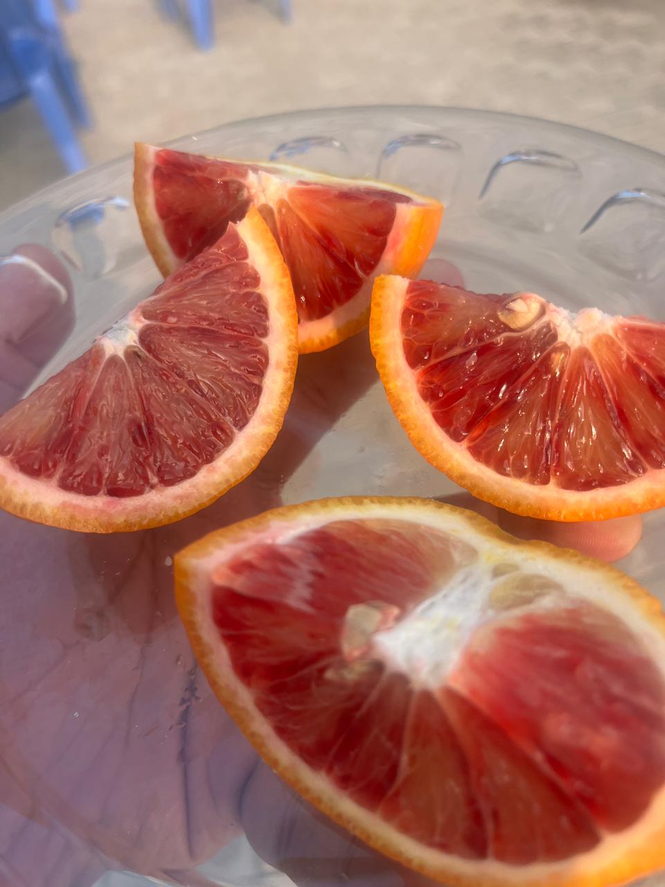 Export Quality Red Blood Oranges 10kg box-Limited Edition - Image 4