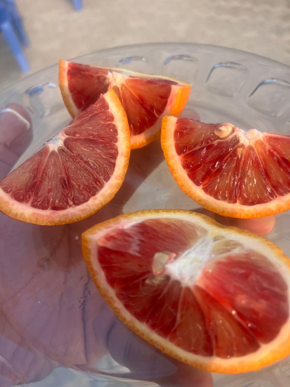 Export Quality Red Blood Oranges 10kg box-Limited Edition - Image 5